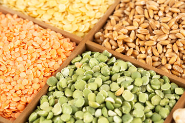 Collection of cereals and beans