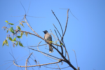 Nature at its peak beauty