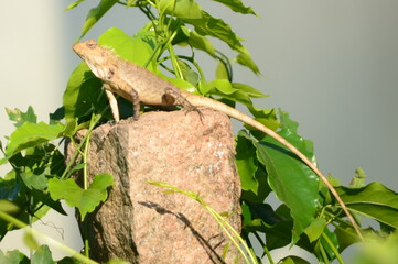 Nature at its peak beauty