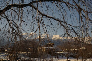 snow covered mountains
