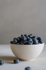 Fresh blueberry in ivory bowl on dark grey background. Freshness of sweet ripe berries