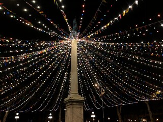 christmas tree and lights