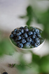Dark macro of fresh blueberry in ivory bowl with mint leaves. Concept for healthy eating and nutrition. Antioxidant organic superfood