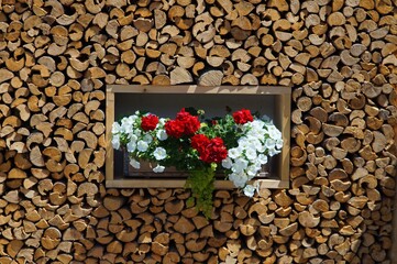 Spaziergang um Brannenburg mit Blumen