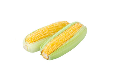 Two fresh organic sweet corns on isolated white background 