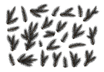 Dark green Pine fir branches. Spruce branches realistic. Christmas tree Set isolated on white background. Decorative design elements. Decoration Natural objects. Xmas decor. Vector illustration