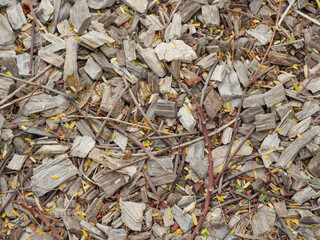 Wood Sawdust of trees with leaves and branches