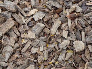 Wood Sawdust of trees with leaves and branches