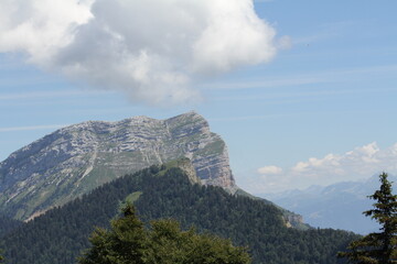 The Chartreuse mountain