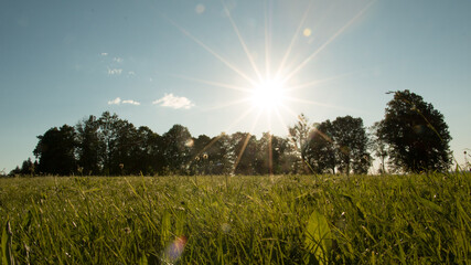 sunset over the field