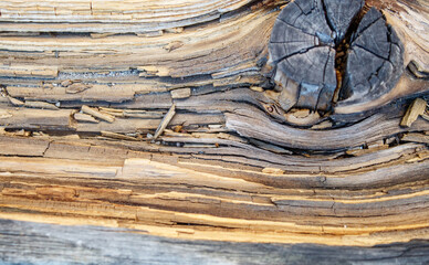 old cracked weathered board