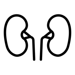Anatomy kidney icon. Outline anatomy kidney vector icon for web design isolated on white background