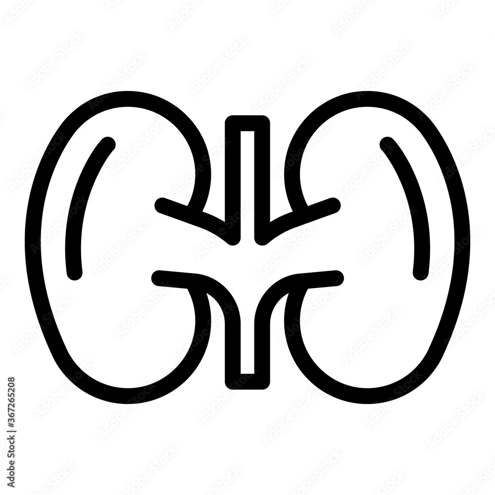 Poster system kidney icon. outline system kidney vector icon for web design isolated on white background
