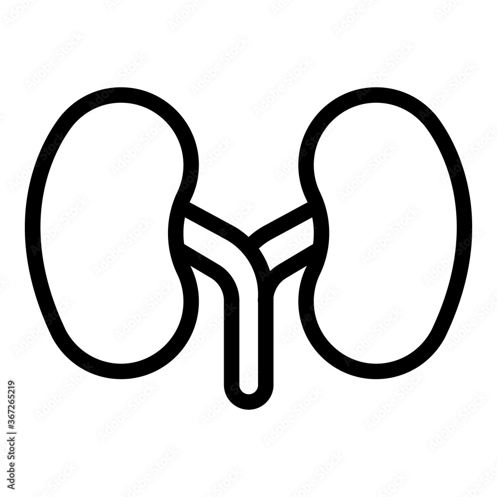 Poster system kidney icon. outline system kidney vector icon for web design isolated on white background