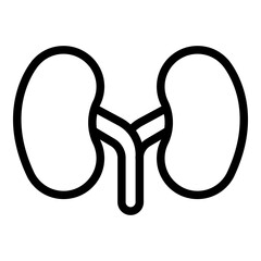 System kidney icon. Outline system kidney vector icon for web design isolated on white background