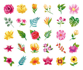 bundle of beautiful flowers and leafs icons