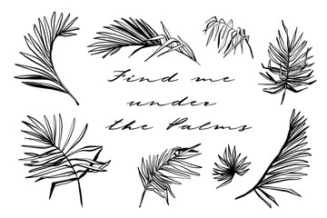 Palm leaves line isolated vector illustration. Black ink sketch on white background. Contour silhouette. Summer quote typography. Tattoo design