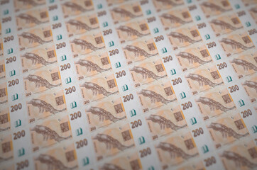 200 Czech korun bills printed in illegal money production conveyor. Collage of many fake bills....