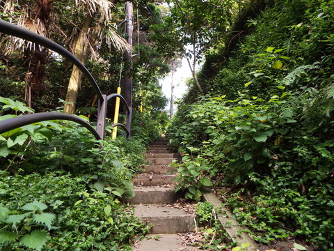 高台へ向かう階段 Stairs leading to the hilltop
