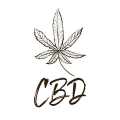 Outline black cannabis leaf and cbd logo. Hand drawn natural vintage sketch for medical design. CBD, cannabis, hemp oil. Vector illustration on white background