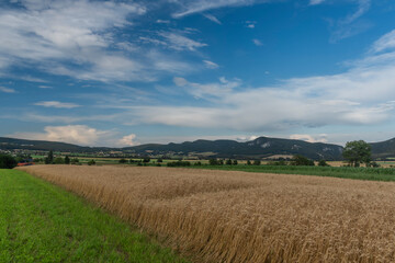 Fields and meadows near Maiersdorf village in Austria