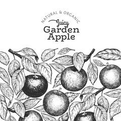 Apple branches design template. Hand drawn vector garden fruit illustration. Engraved style fruit frame. Vintage botanical banner.