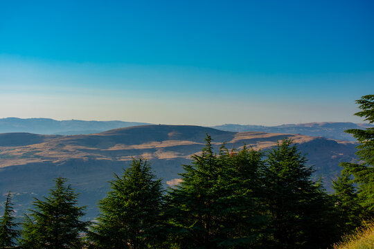 view from the Chouf cedar reserve onto the Lebanon mountains