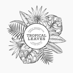 hand drawn tropical leaves design template
