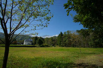 mountains and trees in the park, Hakuba, Nagano 
