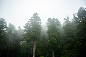 日光市　霧が立ち込める山