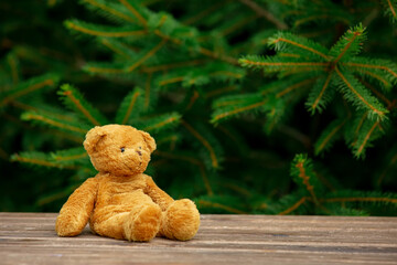 Little teddy bear toy on wooden table with spruce branches on background