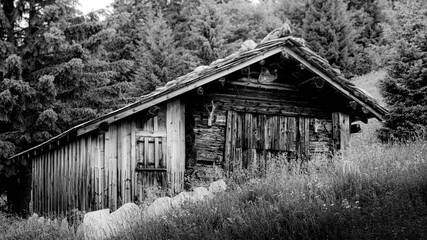 old barn in the woods