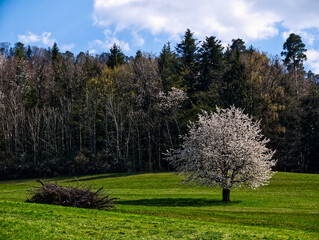 Riedergraben Schweiz