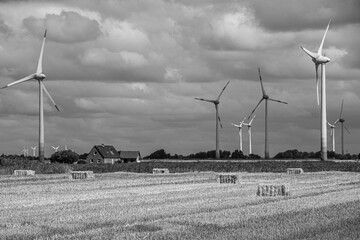 wind turbines farm