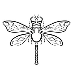 dragonfly on white background