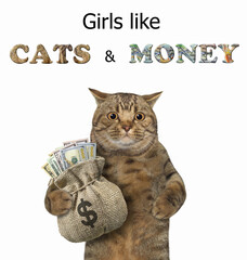 The beige big eyed cat is holding a sack full of dollars. Girls like cats and money. White background. Isolated.