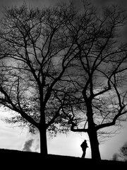 Człowiek biegnący w parku © Onmato071