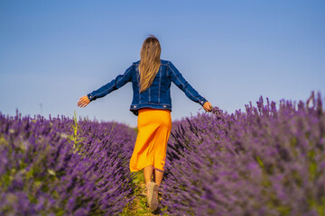 Rural lifestyle, young blonde caucasian woman in denim jacket and orange dress, in a beautiful lavender field with her purple flower in Olite. Navarra, Spain. Walking through the beautiful countryside
