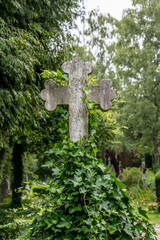 altes Steinkreuz von Efeu umrankt