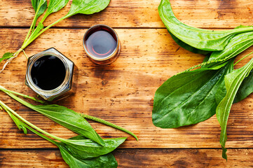 Plantain in herbal medicine