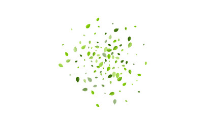 Swamp Greens Spring Vector Concept. Fresh Foliage 