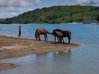 Fototapeta na wymiar young female with horses close to lake