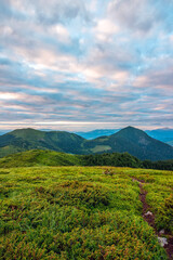 Mountains landscape, scenic wild nature at highlands, Carpathians