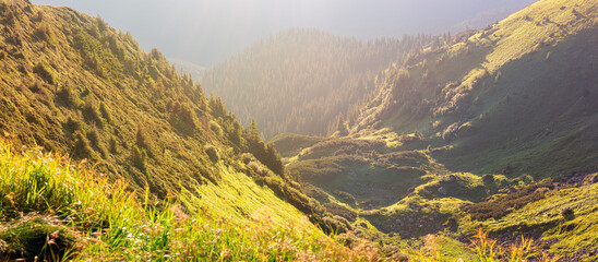 Landscape of wild nature in the mountains at the dawn, Carpathians