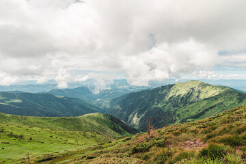 Landscape of wild nature in the mountains, scenic highland Carpathians