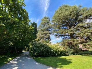 Landscape of the Park and trees on the island of flowers (Flower Island Mainau on the Lake...