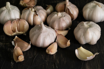 white bulb garlic on table with dark background