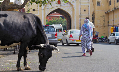 Street scene with traffic of cars and tuk tuks inside City Palace Jaipur Rajasthan India