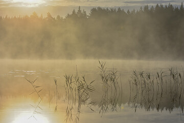 Morgenstimmung mit Nebel © Brigitte