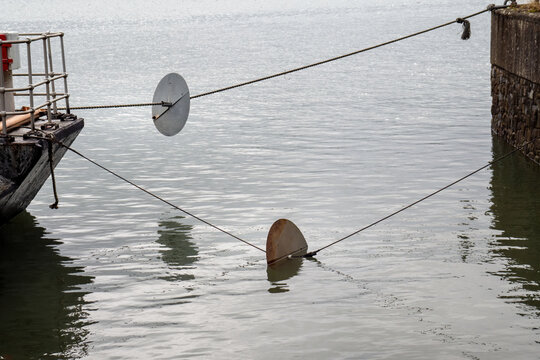 Marine rat guards on moored vessel. Prevent ingress.